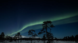 Oplevelsesmodul Nordlyset