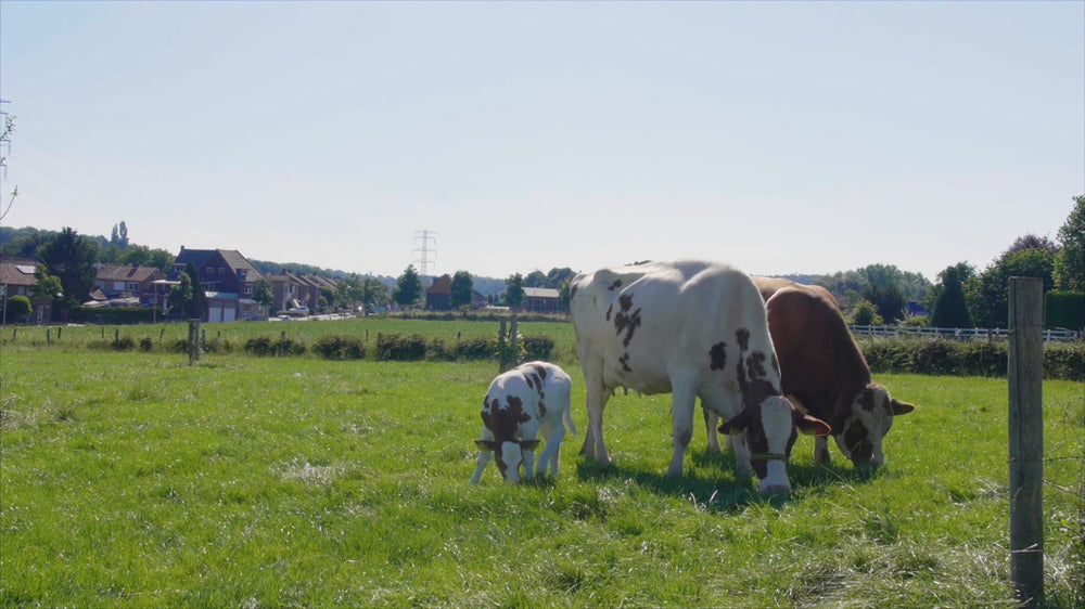 Farm Life Oplevelsesmodul