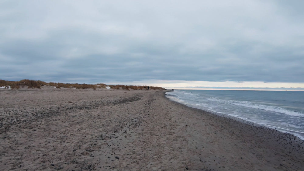 Oplevelsesmodul Havne- & Strandvandring