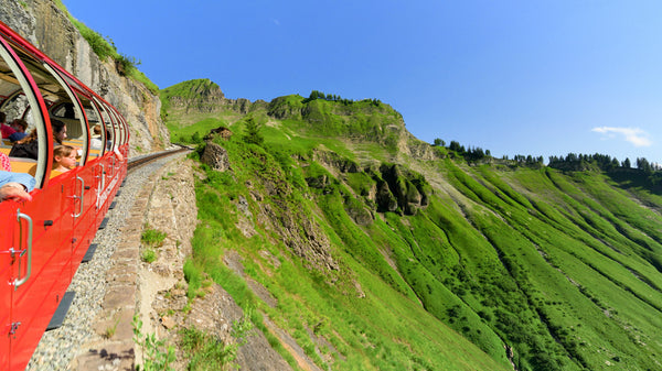 Oplevelsesmodul Togtur Schweiz